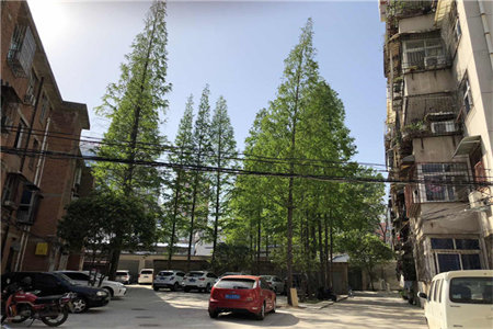 山亭郭庄社区3室2厅1卫110平米首付3万起！